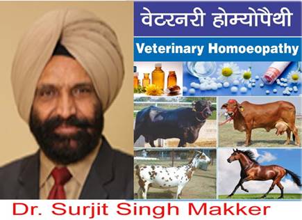 APPLICATION OF HOMEOPATHY MEDICINES IN CATTLE & BUFFALOES REPRODUCTIVE DISORDERS - Pashudhan praharee
